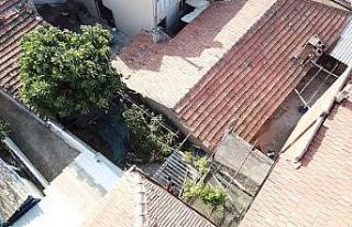 Vefat eden kayınpederinin evinde kenevir yetiştirdi