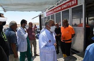 Yaklaşık 200 veteriner hekim kurban kesim yerlerinde...