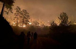 Yalan terörü sosyal medyada