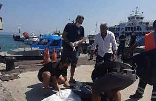 Yalova’da denizde erkek cesedi bulundu
