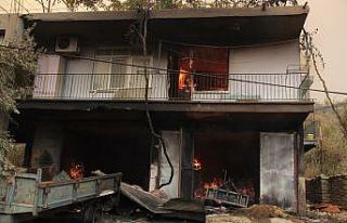 Yanan ahırlardan hayvanlarını traktörlerle taşıdılar