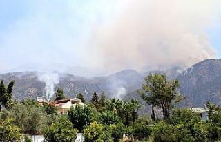 Yangın alanları afet bölgesi ilan edildi