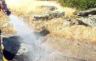 Yangında mahsur kalan kaplumbağanın imdadına itfaiye...