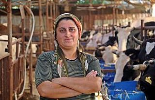 ‘Yapamazsın’ diyenlere inat 4 bilezikle hayvancılık...