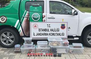 Yasa dışı hayvan ticaretine jandarma engeli