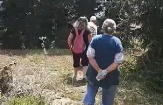 Yaşlı kadın uçurumdan düşerek hayatını kaybetti,...