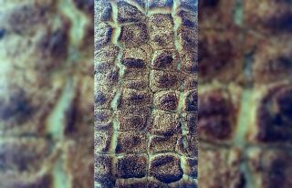 Yenişehir’in ’cevizli lokumlarına’ ilgi büyük