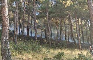 Yerleşime yakın noktada çıkan orman yangını...