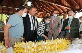 Yerli ipekböceğinin genetik kaynakları muhafaza...