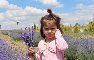 Yetişmez dediler, o kulak asmadı şimdi hasada gün...