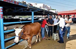 Yıldırım bayrama hazır