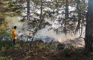 Yıldırım orman yangınlarına sebep oldu