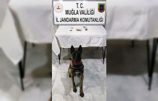 Yol kontrolünde esrar ele geçirildi