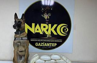 Yolcu otobüsünde 16 kilogram uyuşturucu ele geçirildi