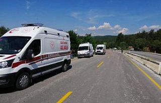 Yoldan çıkan kamyonet şarampole uçtu: 2 yaralı