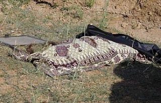 Yüksekova’da feci kaza: 1 ölü, 3 yaralı