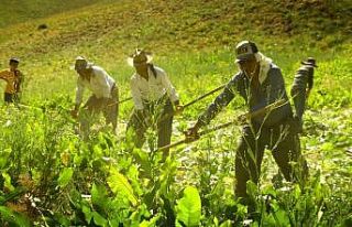 Yüksekovalı öğretmen köylerin güzelliğini fotoğrafladı