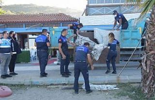 Zabıtadan şezlong fırsatçılığına müdahale