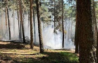 Zamanında müdahaleyle büyümeden söndürüldü