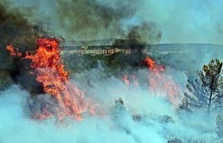 Zeytinpark’ın çamları alev alev yandı