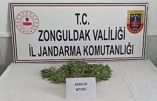 Zonguldak’ta uyuşturucu operasyonu: 1 gözaltı