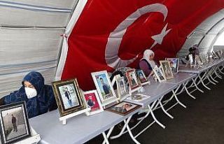 Zorla dağa kaçılan Süleyman’ın ablası, küçük...