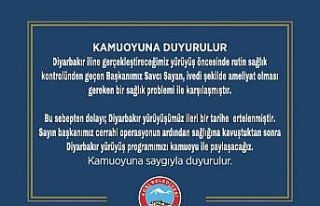 2 bin kişilik Diyarbakır yürüyüşü ertelendi