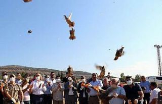 32 köyde 900 adet kınalı keklik doğaya bırakıldı