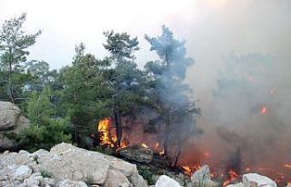 39 helikopter 6 uçakla müdahale devam ediyor