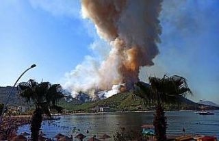 5 ilde elektrik ödemeleri 3 ay ertelendi