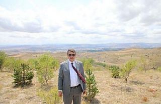 5 milyon fidan toprakla buluşacak