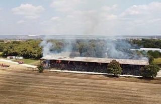 6 Bin 500 adet saman balyası küle döndü