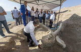 7.5 milyon yıllık fosillerin sergileneceği müzenin...