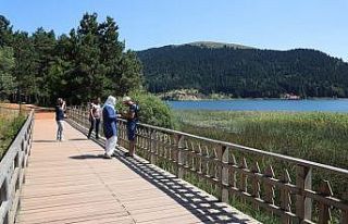 Abant Tabiat Parkı yaz sezonunu yüzde 90 dolulukla...