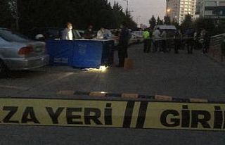 Abi kardeşin miras kavgası cinayetle bitti