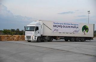 Adana Büyükşehir Belediyesinden yardım eli