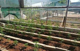 Adana’da uyuşturucu operasyonu: 48 gözaltı