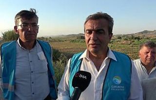 Adana’daki orman yangını kontrol altına alındı