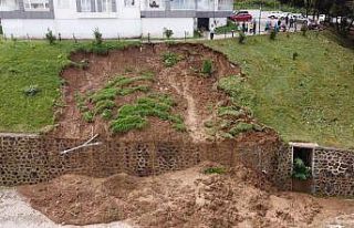 AFAD açıkladı: "Ağaçlandırma ve yeni bir...