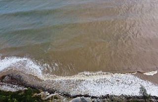 Afet bölgesinde salgın hastalık artınca denize...