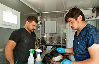 AFET bölgesindeki hayvanlar da unutulmadı