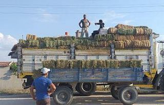 Afyonlu yetiştiricilerden yangın bölgesine yem...