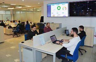 Ağaç elektrik direklerinin ömrü ’bor’la uzatılacak