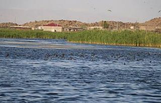 Ağrı Dağı Milli Parkı, doğal güzelliği ve...