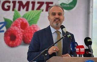 Ahududu hasadı bereketli başladı