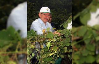 AK Parti Giresun Milletvekili Kadir Aydın: “Üreticinin...
