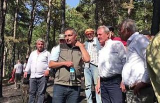 AK Parti Milletvekili Tin ‘Yeşil vatanı’mızı...