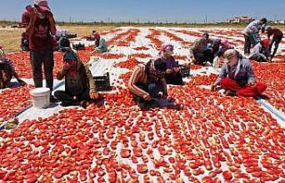 ’Akça kadınlar’ hem üretiyor hem ihraç ediyor
