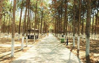 Akçakale kent parkı ve mesire alanı açılışa...