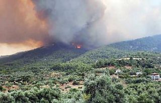Akçaova yangınında 4 mahalle tehdit altında
